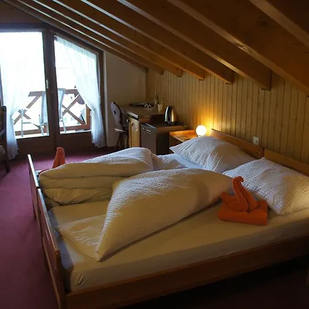 Hotel Alpenhof 3*