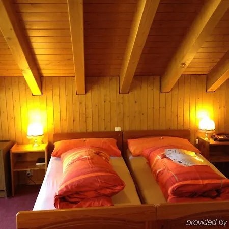 Alpenhof 3* Обервальд